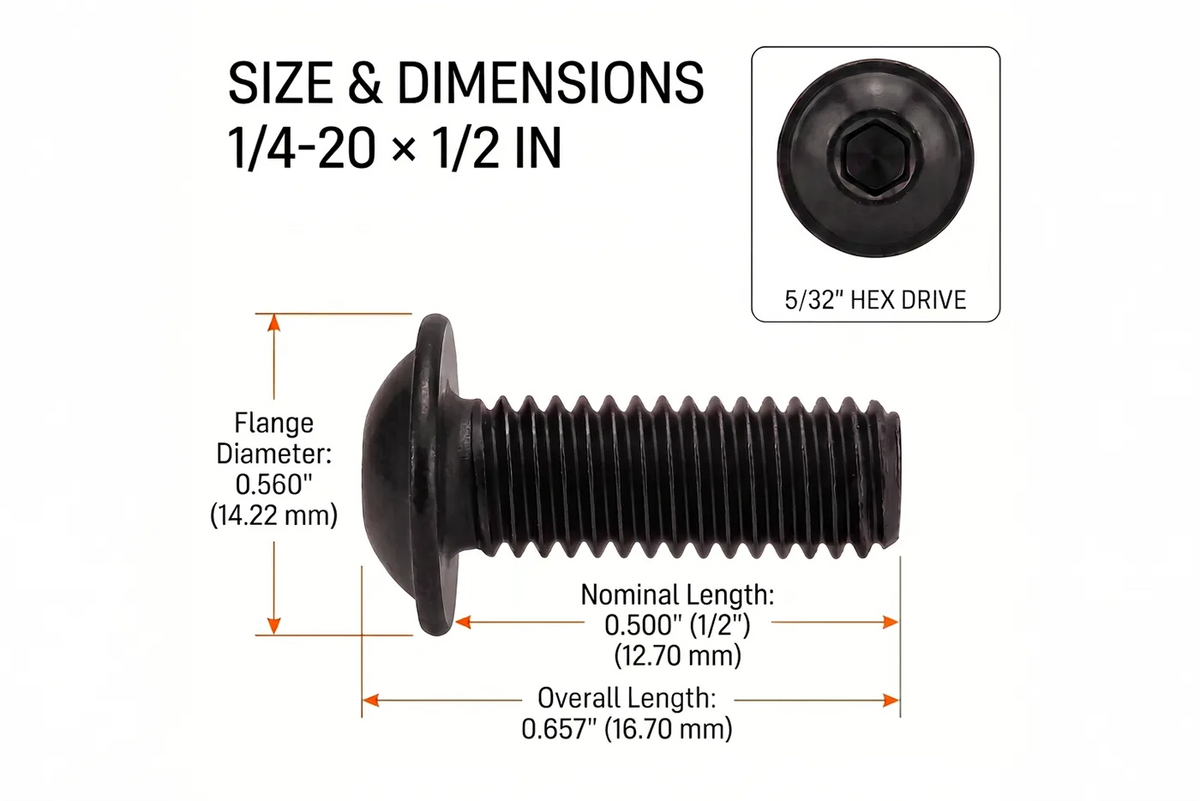 Orion Van Gear black 316 stainless steel 1/4-20 flanged button head socket screw, 1/2 in length dimensions.
