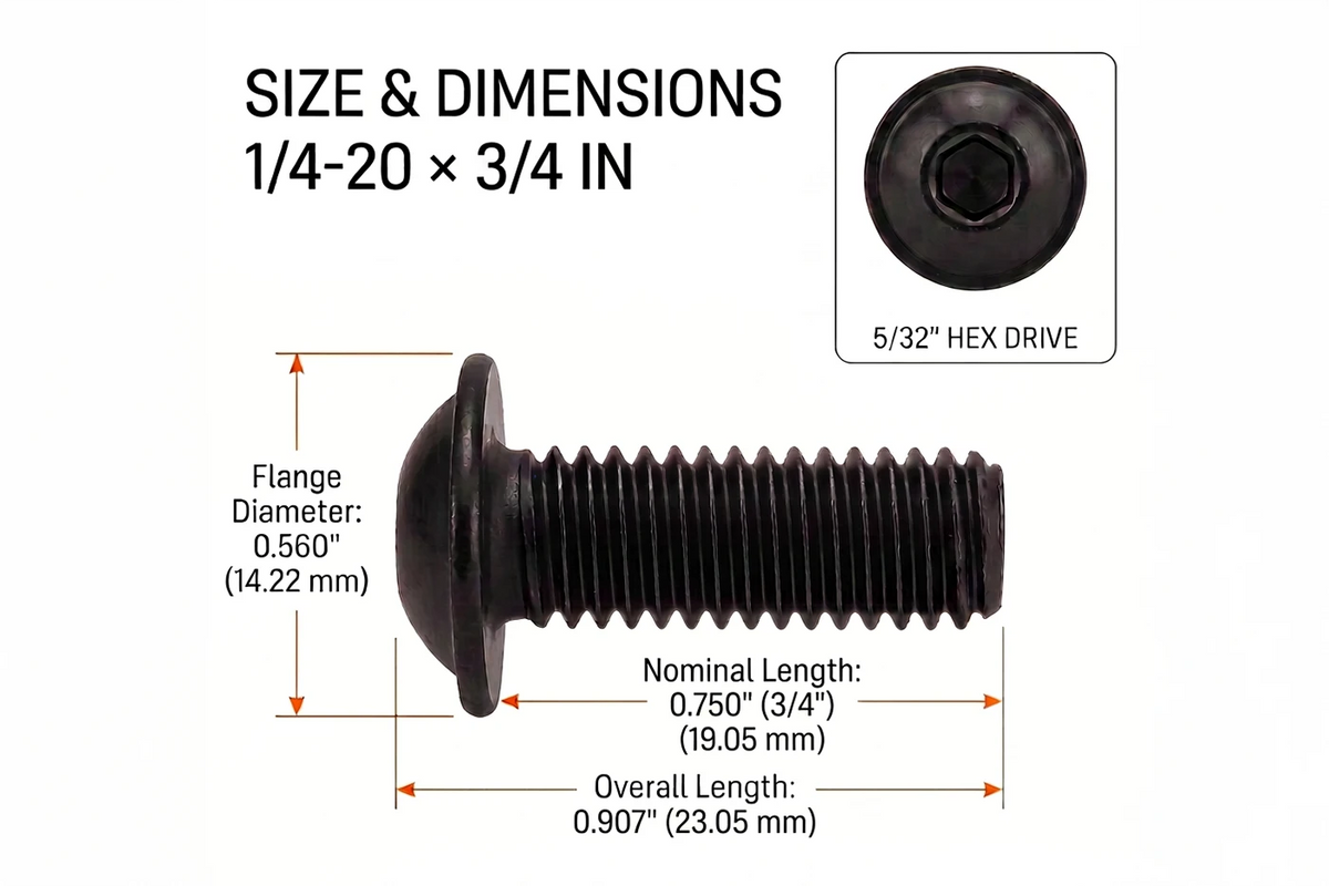 Orion Van Gear black 316 stainless steel 1/4-20 flanged button head socket screw, 3/4 in length dimensions.